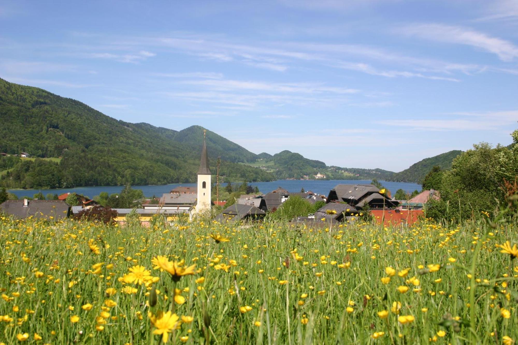 Landhotel Schuetzenhof Fuschl am See Dış mekan fotoğraf